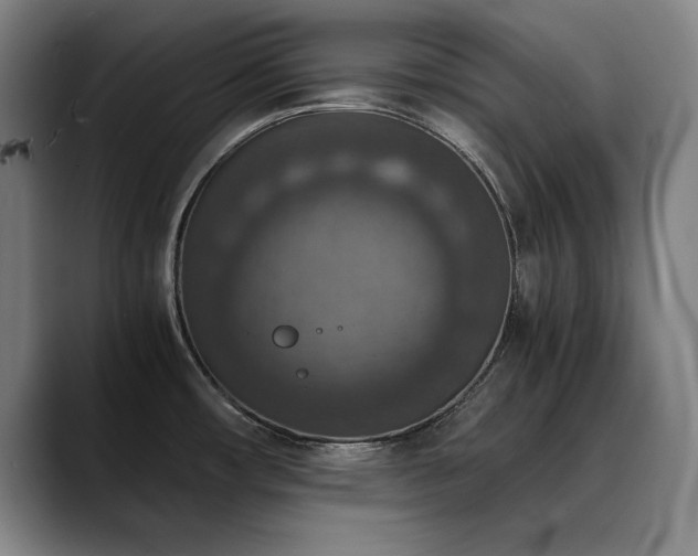X0000090701482200707201148