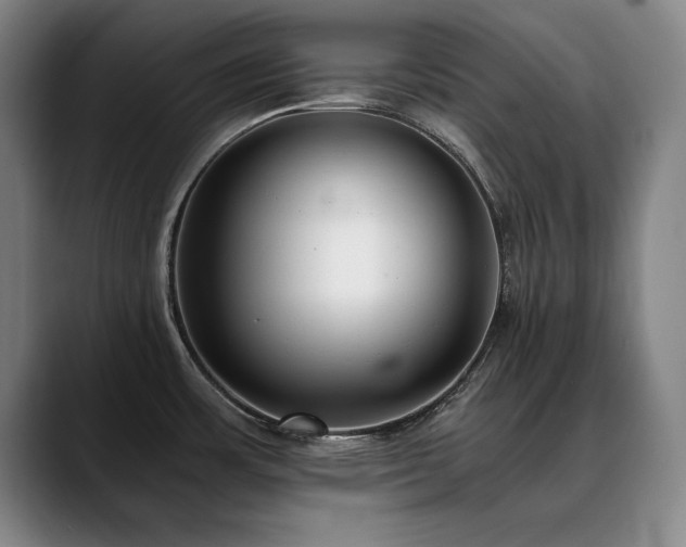 X0000090701483200707201148