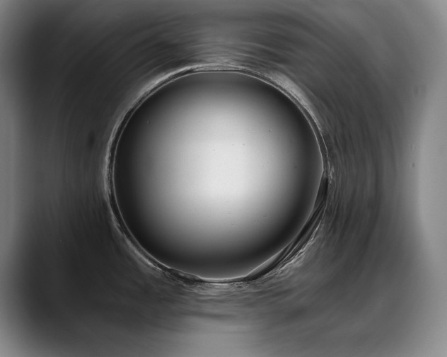 X0000090701485200707201148