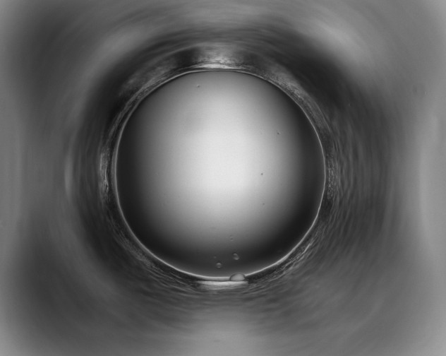 X0000090701487200707201148