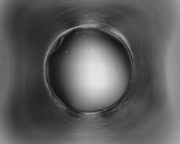 X0000090701488200707201148