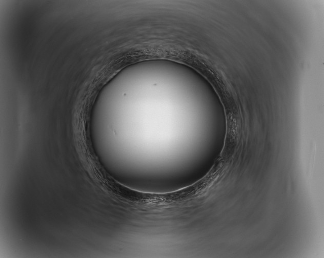 X0000090701489200707201148