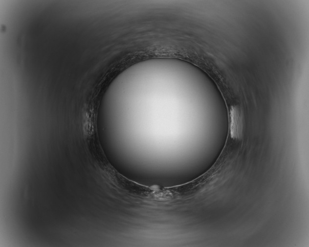 X0000090701491200707201148