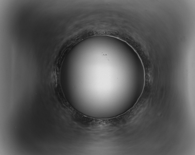 X0000090701493200707201148