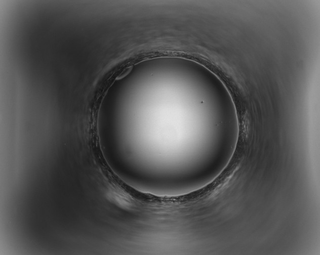 X0000090701494200707201148