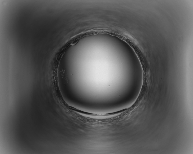 X0000090701496200707201148