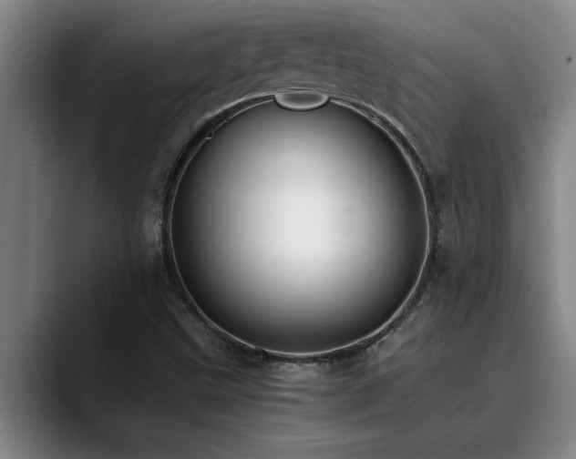 X0000090701499200707201148