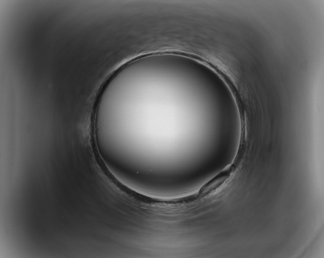 X0000090701500200707201148