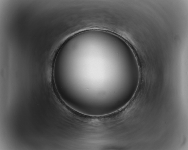 X0000090701504200707201148