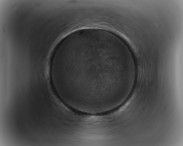 X0000090701506200707201148