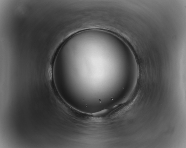 X0000090701509200707201148