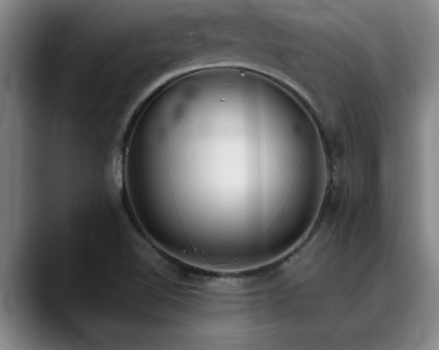X0000090701510200707201148