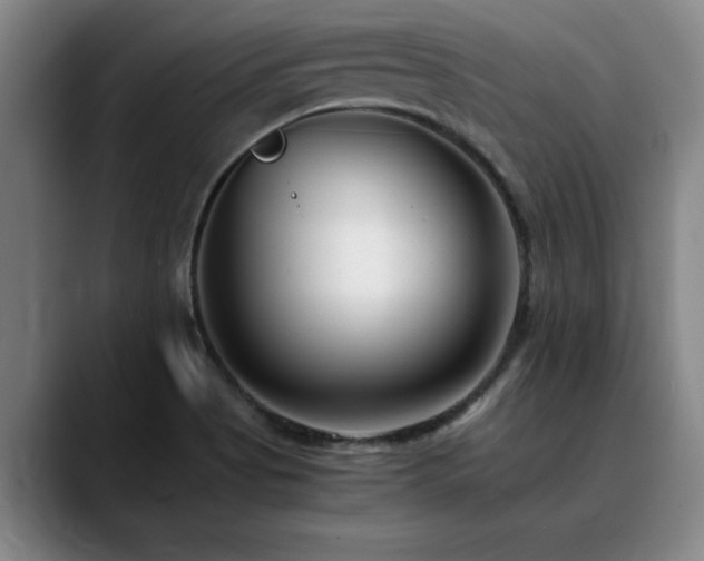 X0000090701513200707201148