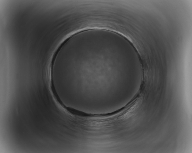 X0000090701515200707201148