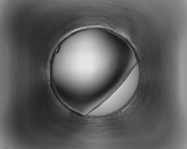 X0000090701516200707201148