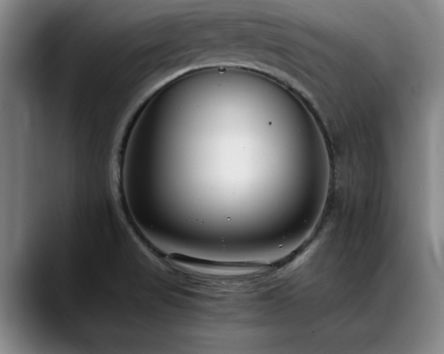 X0000090701517200707201148