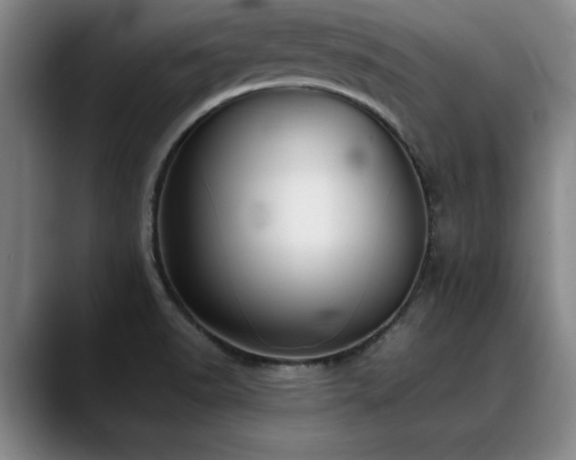 X0000090701518200707201148