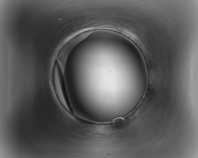 X0000090701520200707201148