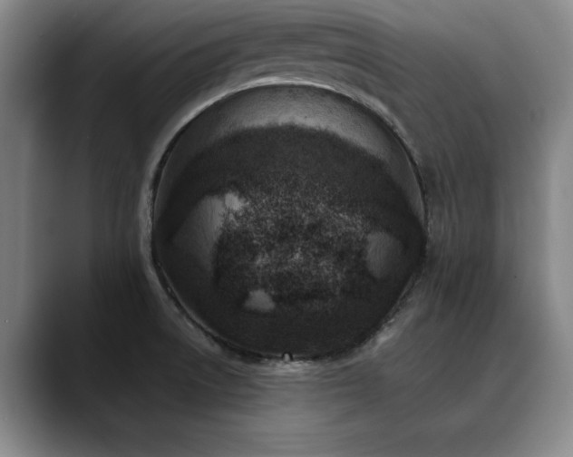 X0000090701522200707201148