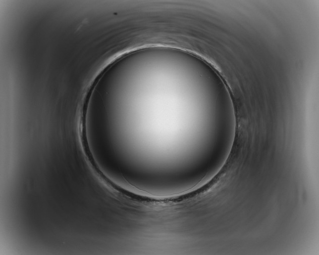X0000090701523200707201148