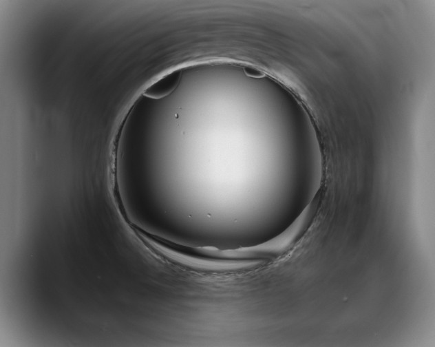 X0000090701524200707201148