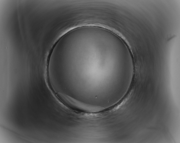 X0000090701525200707201148