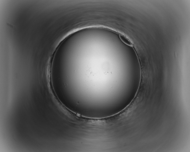 X0000090701526200707201148