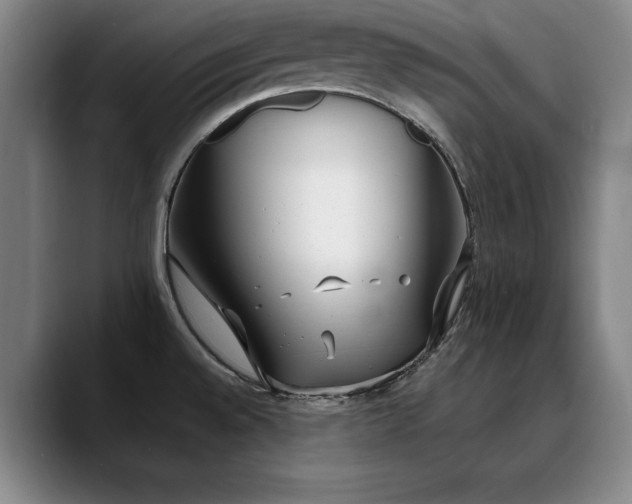 X0000090701528200707201148