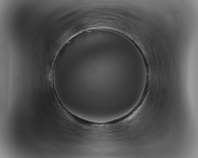 X0000090701529200707201148
