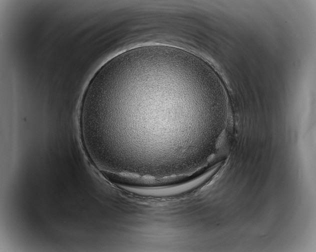 X0000090701530200707201148