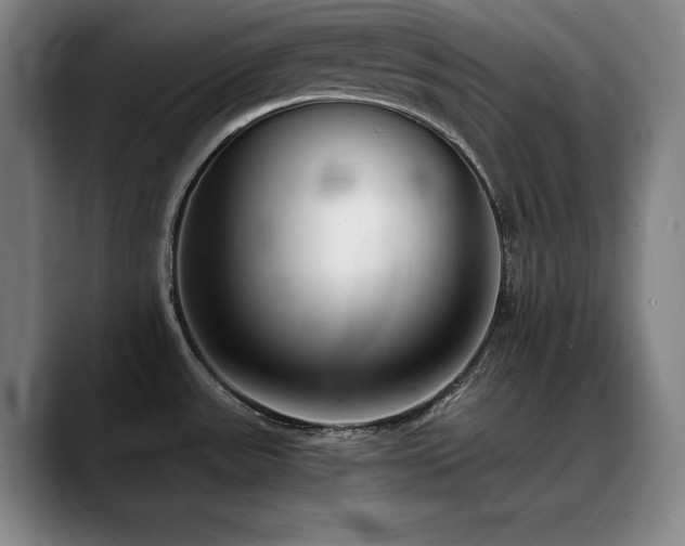 X0000090701531200707201148