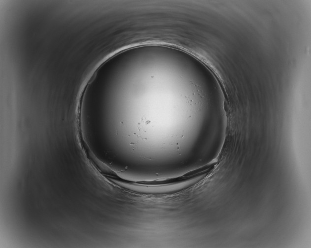X0000090701532200707201148