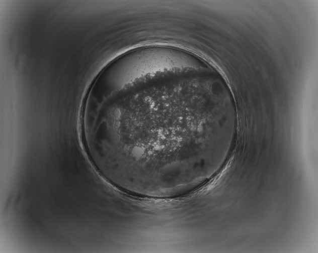 X0000090701533200707201148