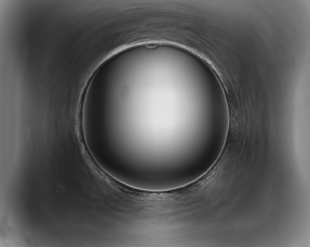 X0000090701534200707201148