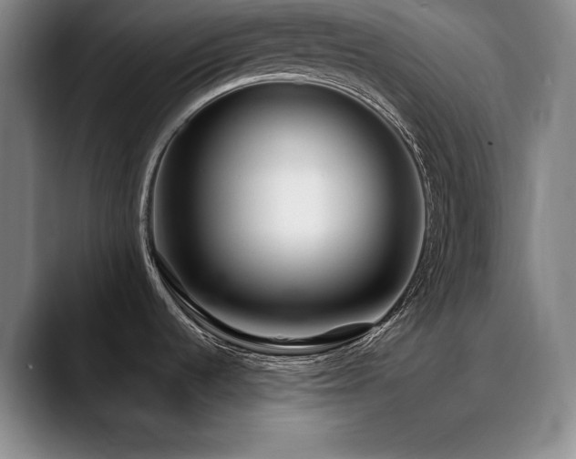 X0000090701536200707201148