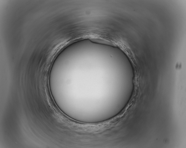 X0000090700001200707271120