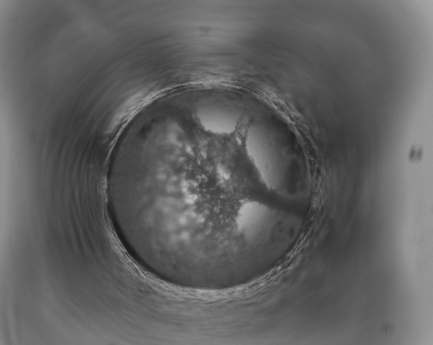 X0000090700002200707271120