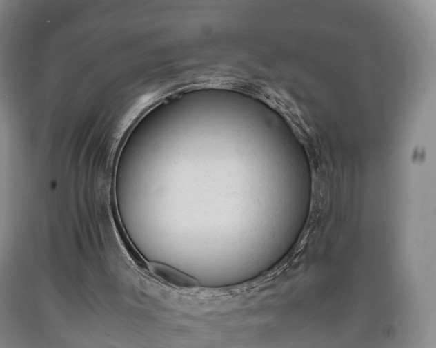 X0000090700003200707271120