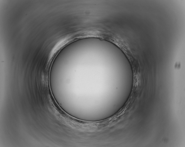 X0000090700004200707271120