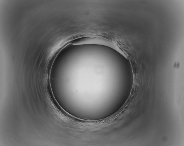 X0000090700005200707271120