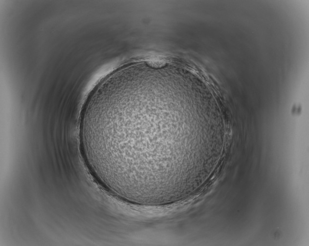 X0000090700006200707271120