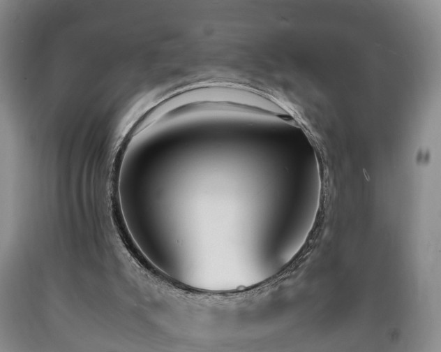 X0000090700007200707271120