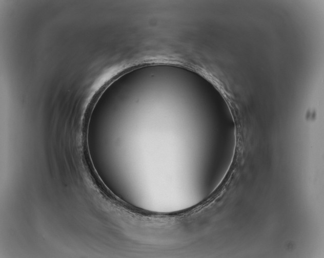 X0000090700008200707271119