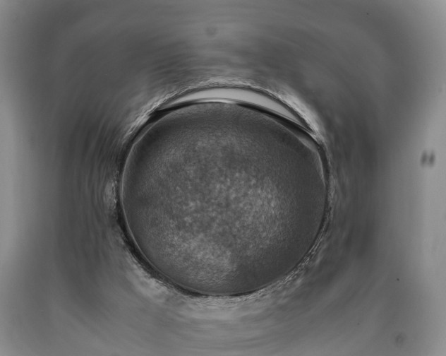 X0000090700009200707271119