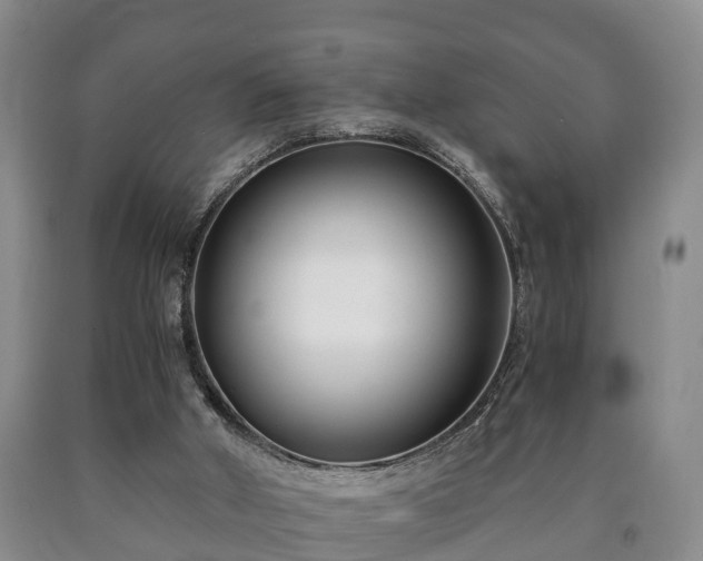 X0000090700010200707271119