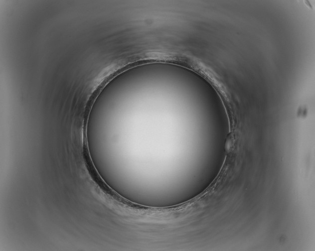 X0000090700011200707271119