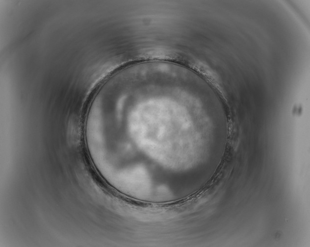 X0000090700012200707271119