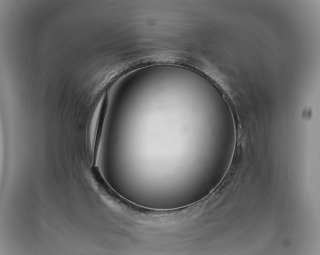 X0000090700013200707271119