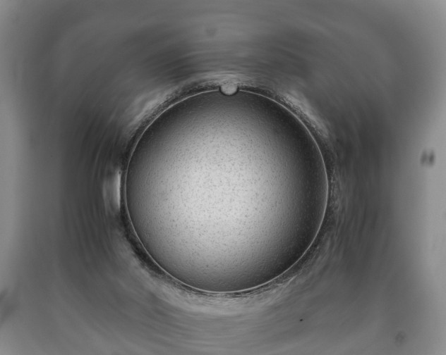 X0000090700014200707271119