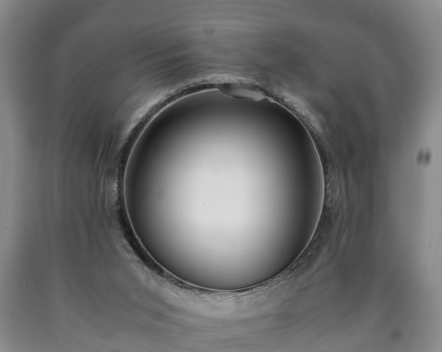 X0000090700015200707271119